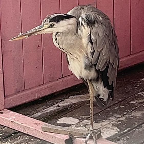 仁者见仁 智者见智