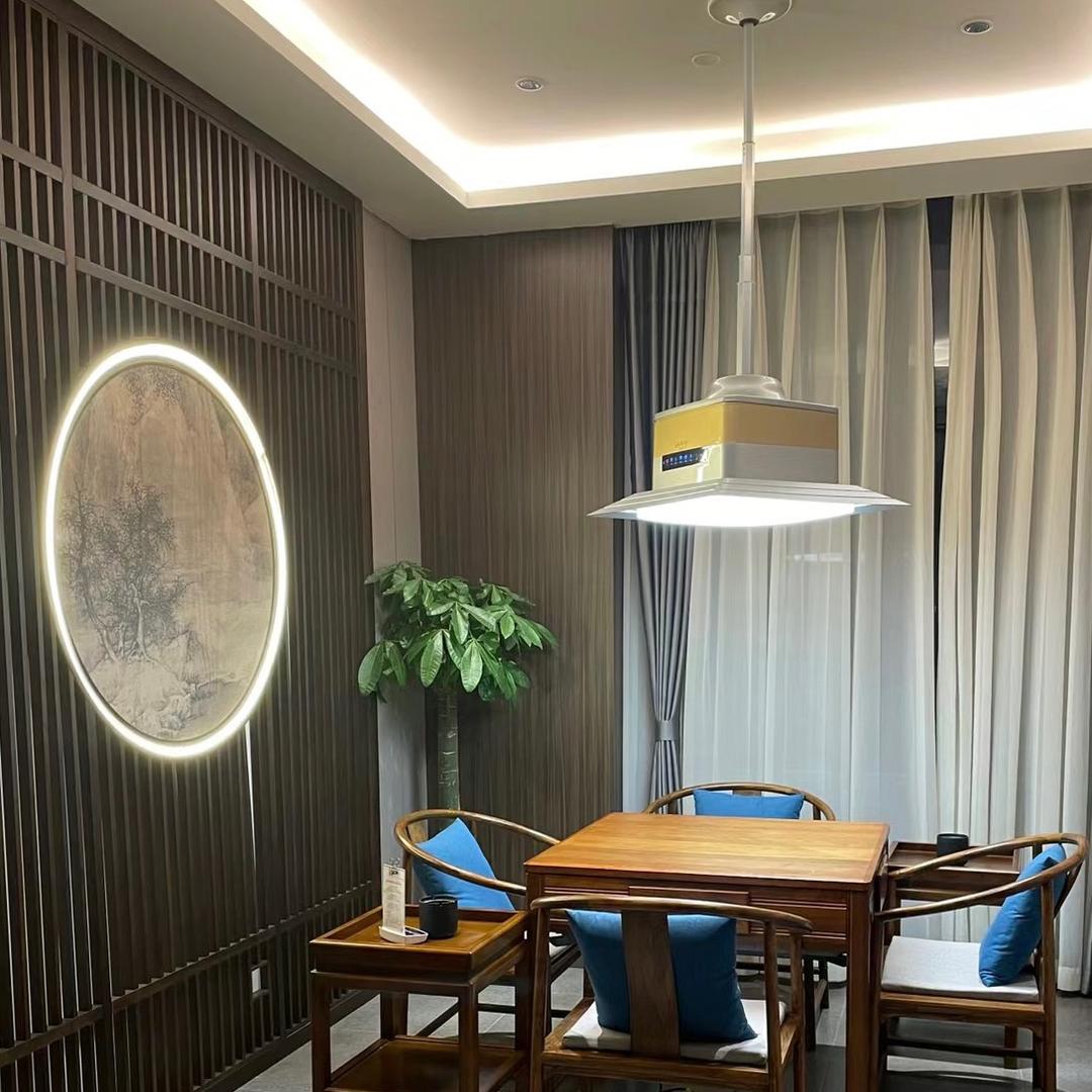 麻将室净化灯业店