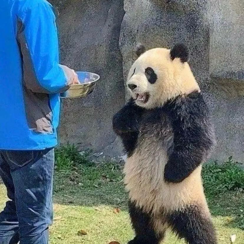 睿睿-