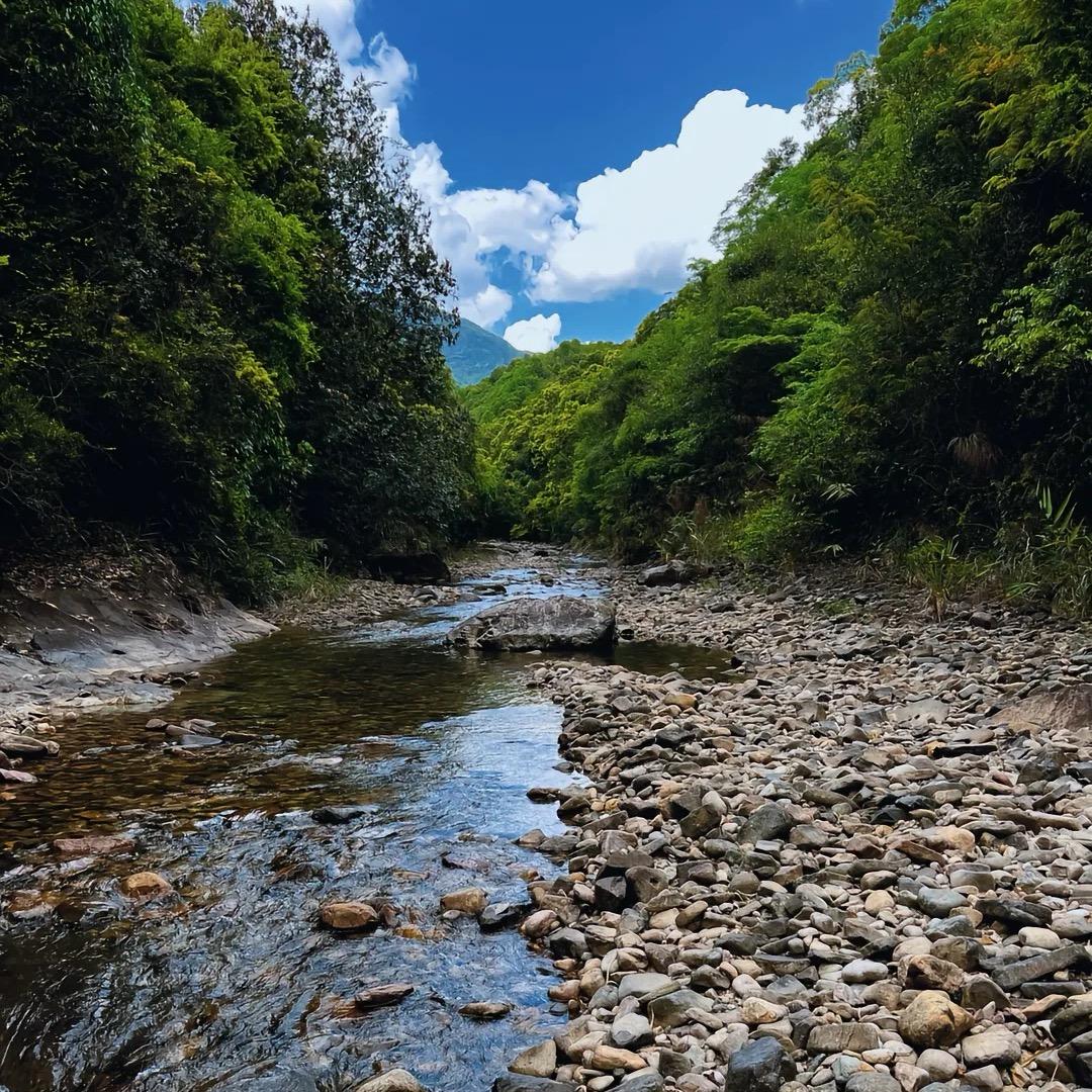 山野寻好货三号店