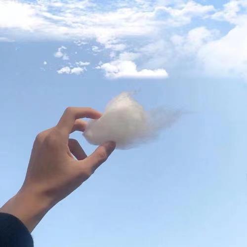 宝图