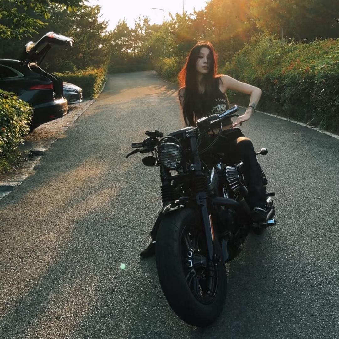 杨姨.