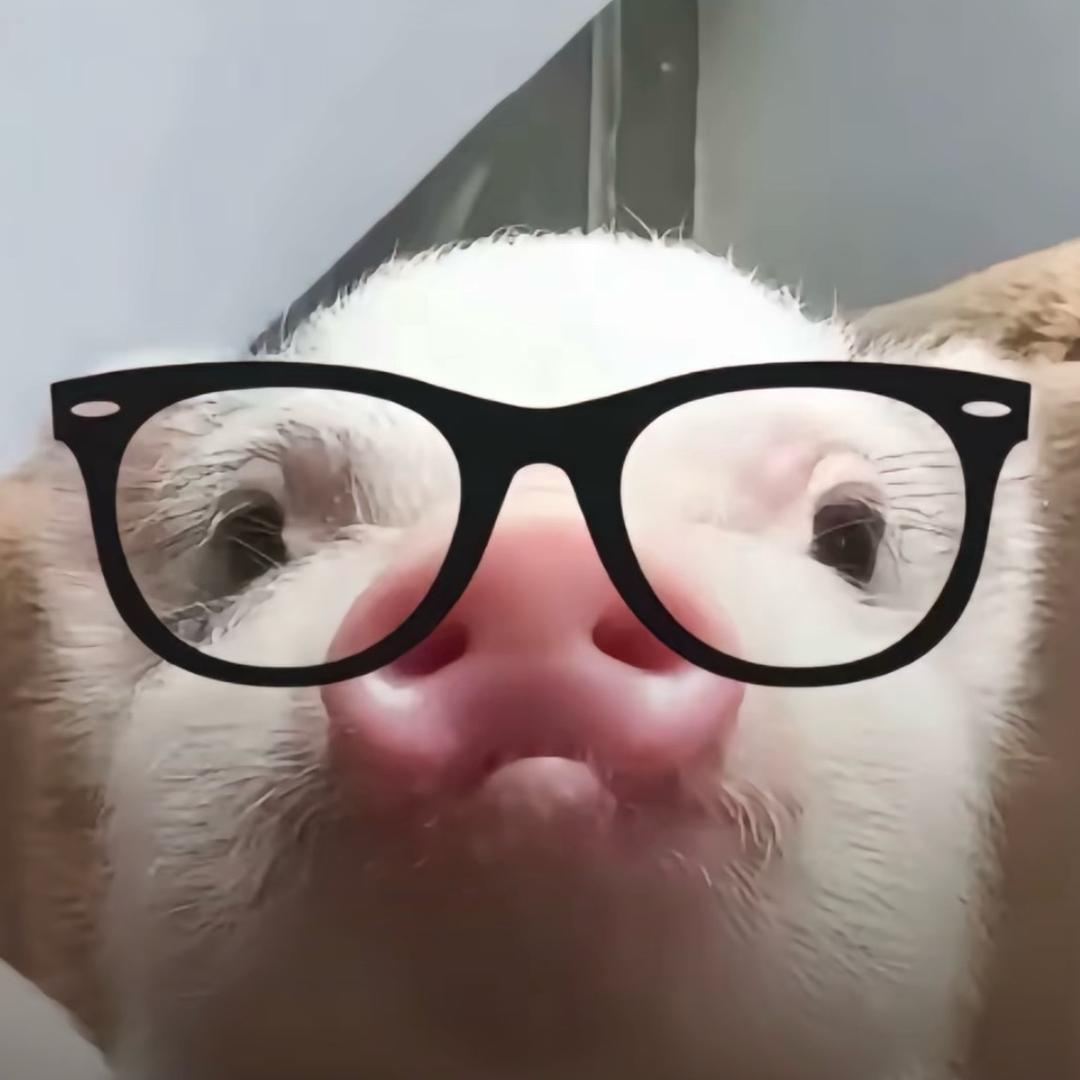 神迹