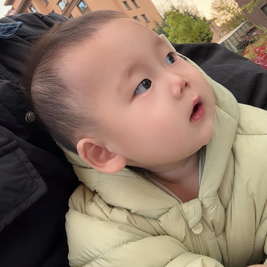 杨杨