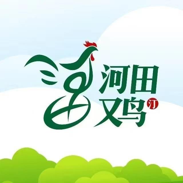 双黑河田飞鸡总店河田又鸟