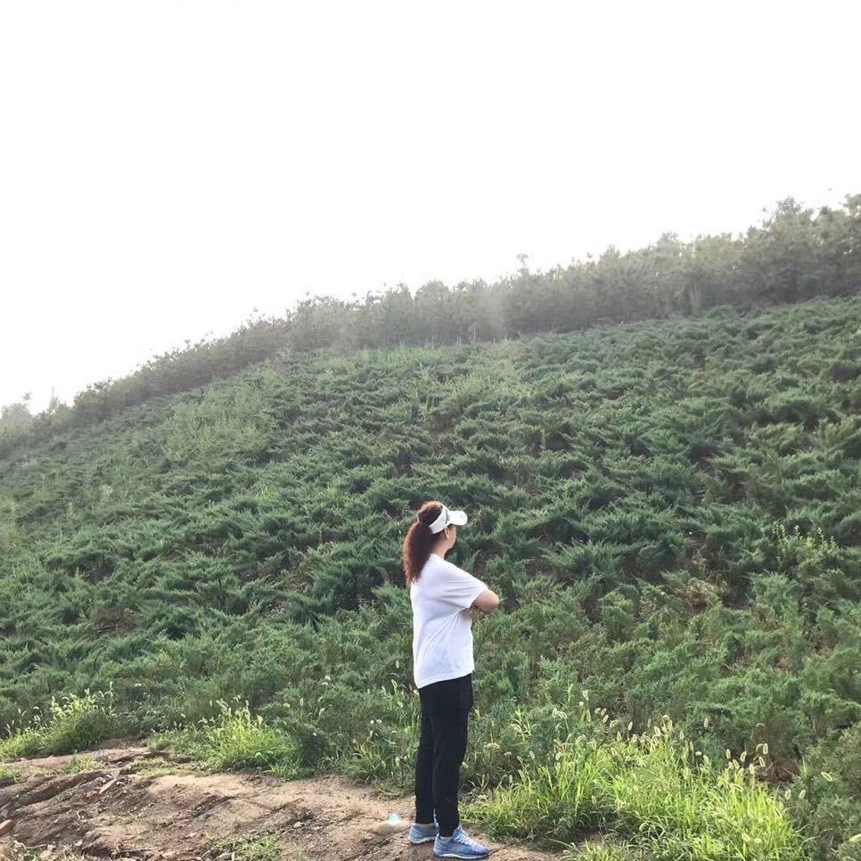 静