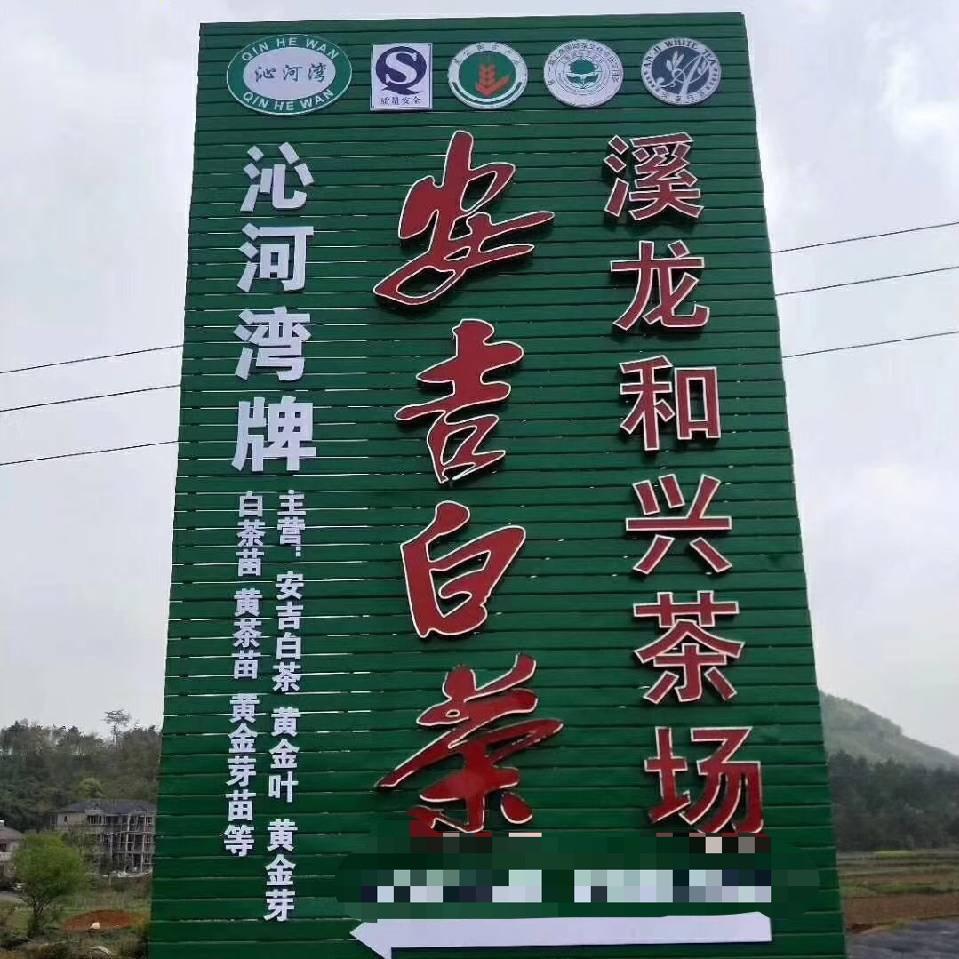 溪龙和兴安吉白茶