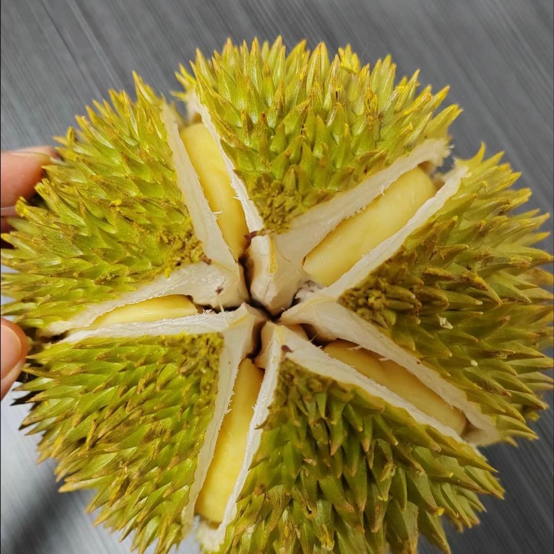 榴大叔