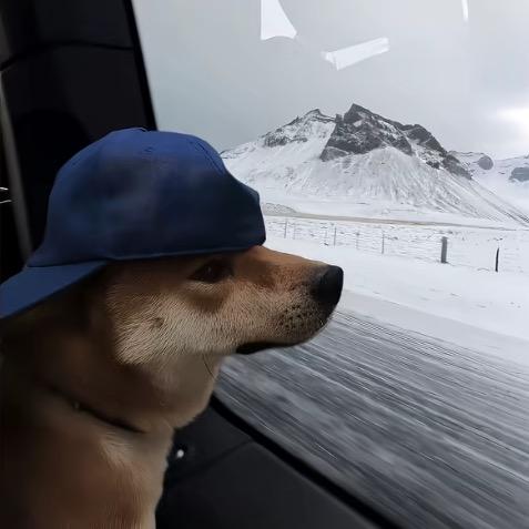 钻石一般的篮子