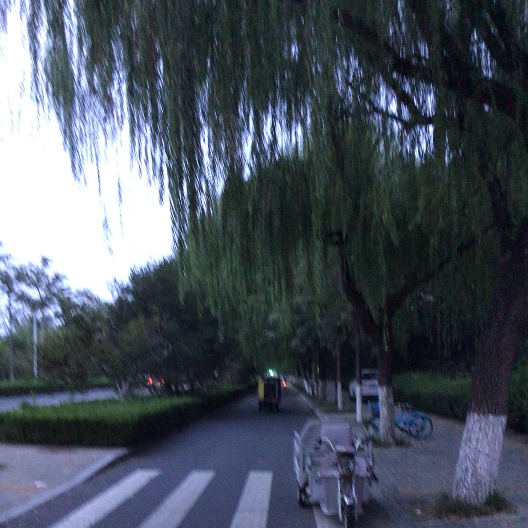 元宝服装批发