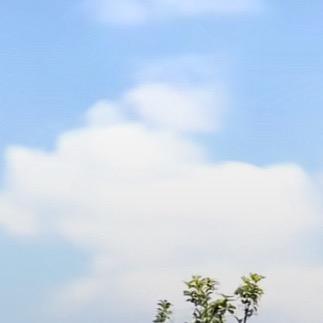 爱跑步🏃‍♀️