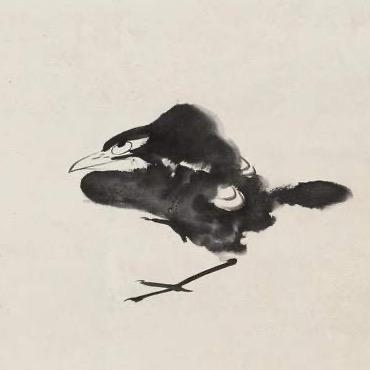 泰州伴侣宠物医院·鹤舞松荫