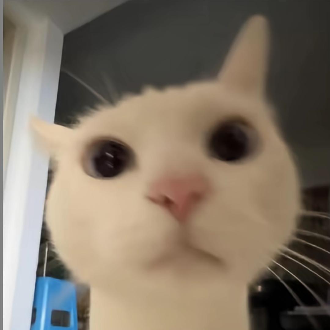 天下第一萌妹子