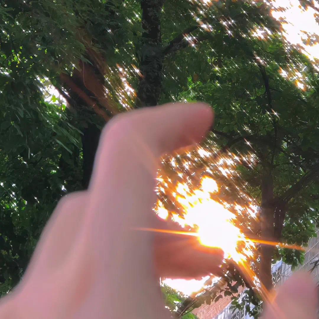 小陆💫💫✨