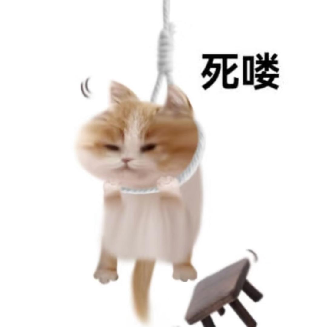 明天吃什么