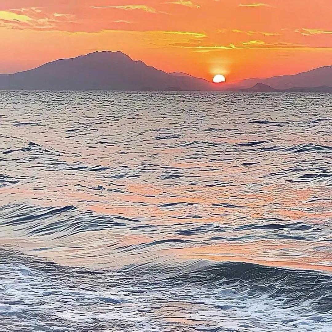海棠花