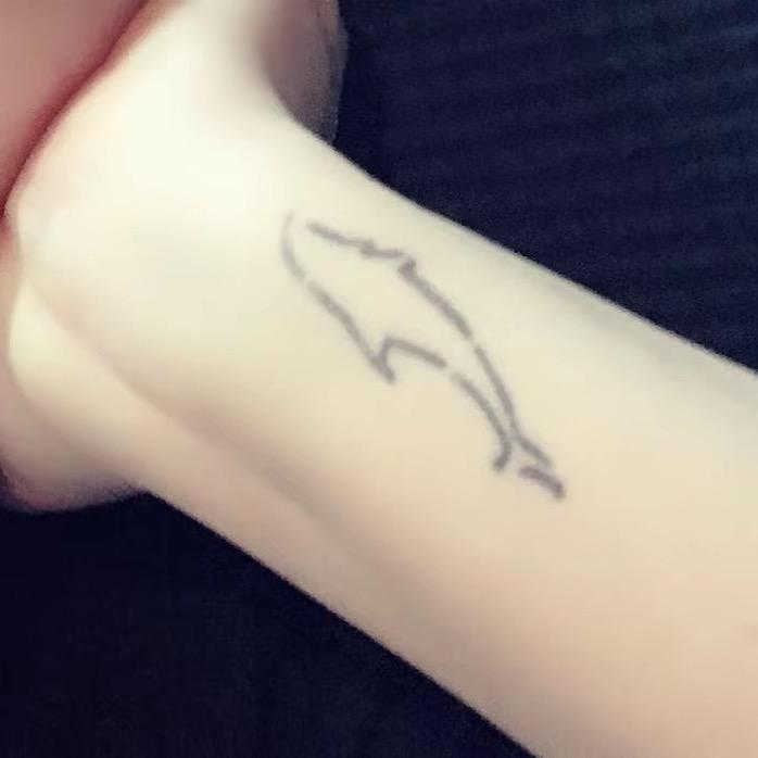 鲤。