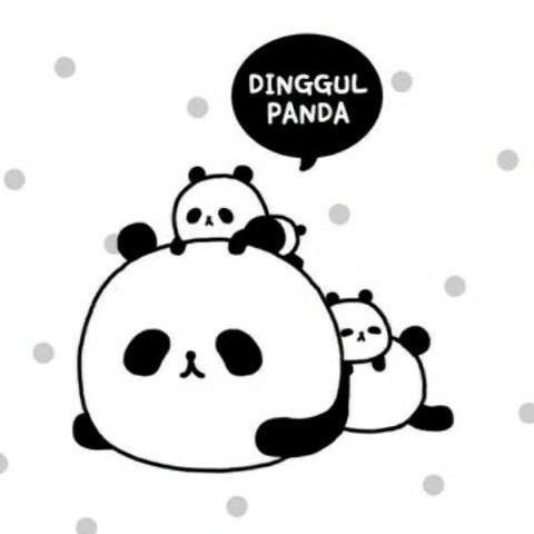 头号百晓生直播号
