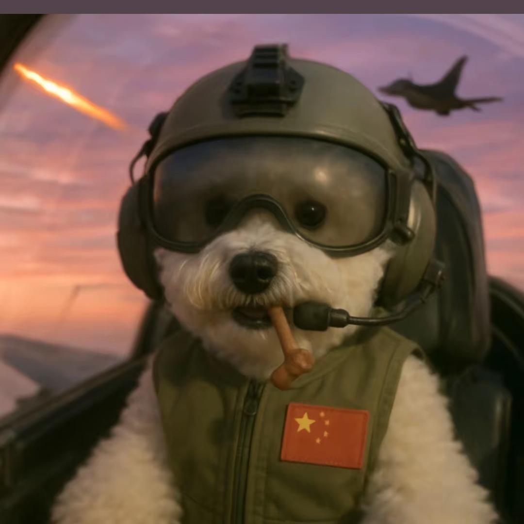 不会压弯的小陈
