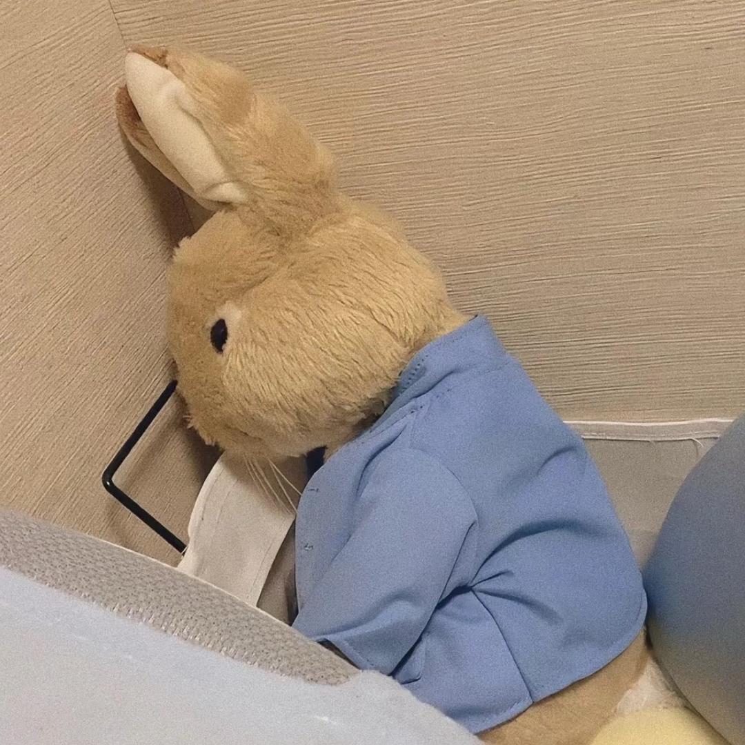 开朗且破防的饺饺饺饺子（不会原谅ag版