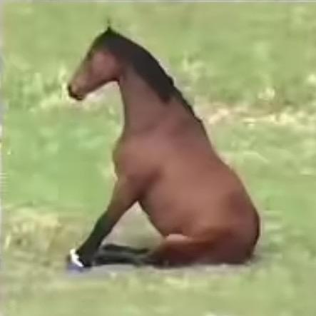 樱盗麻花