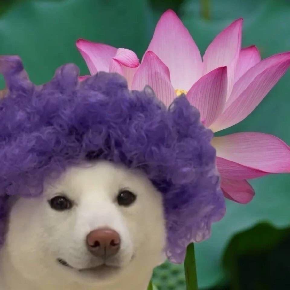 小晨团购特惠福利分享