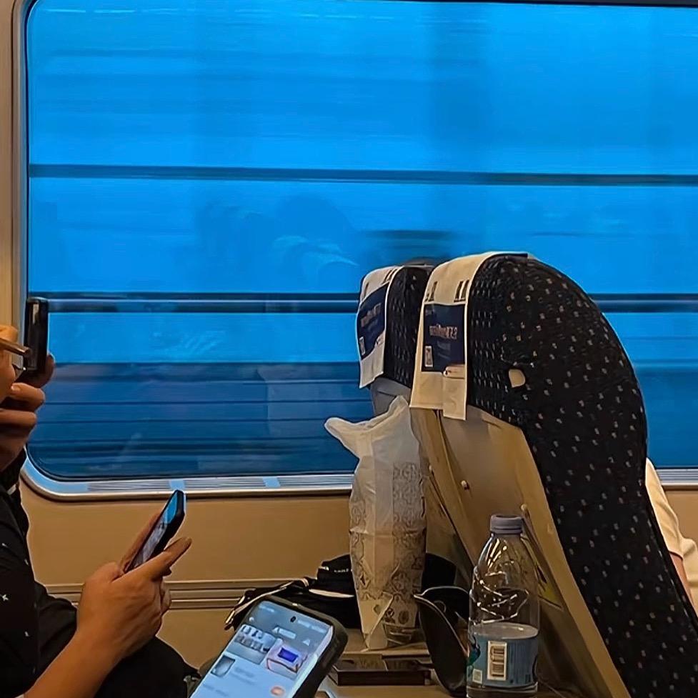 你是人间四月天