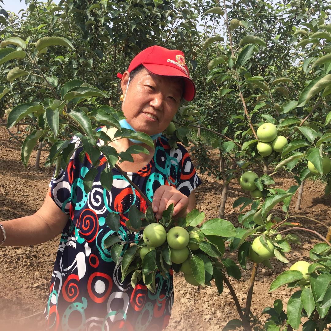 随心所欲