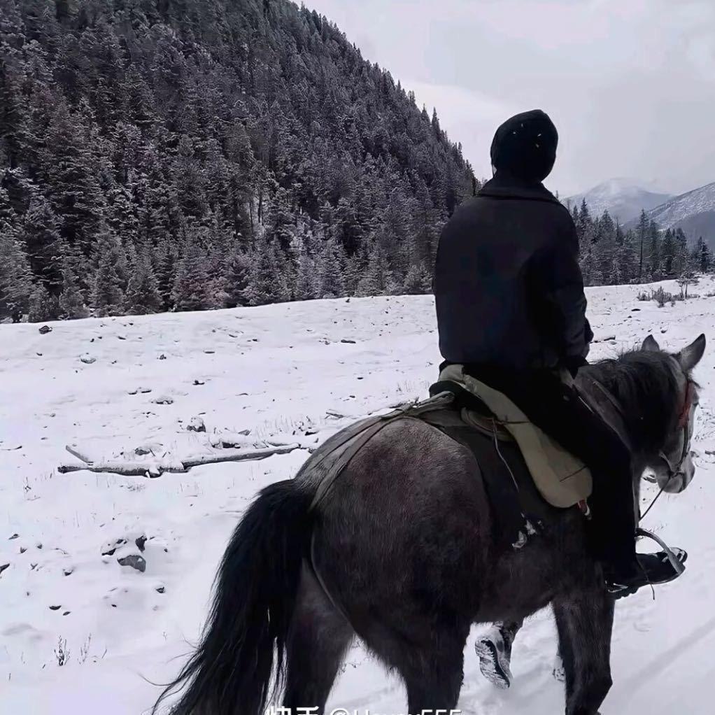 黑马.