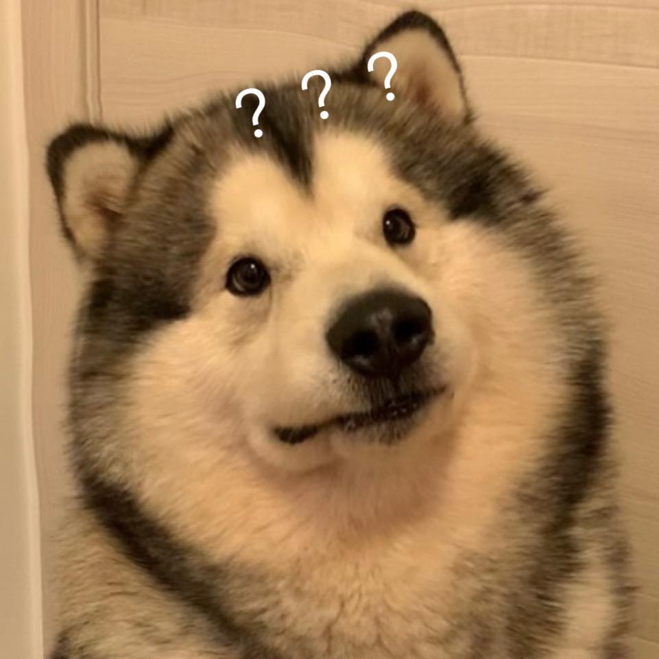 一颗小毛豆