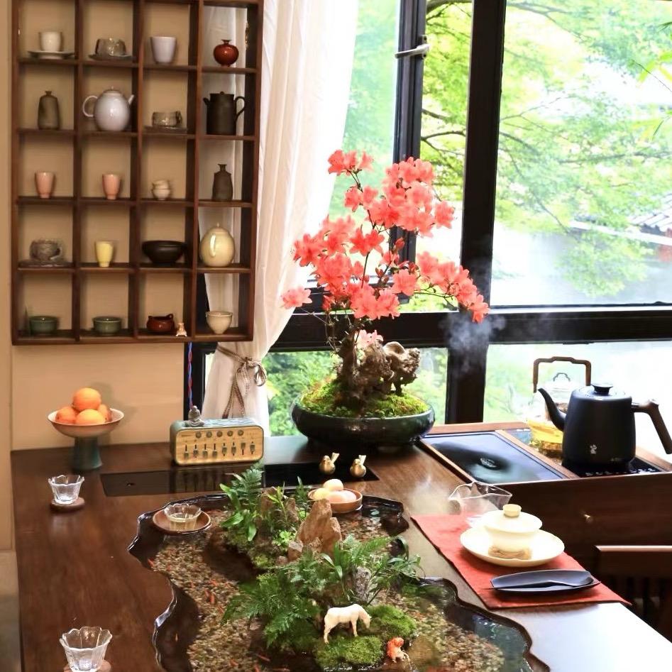 阳台茶书房