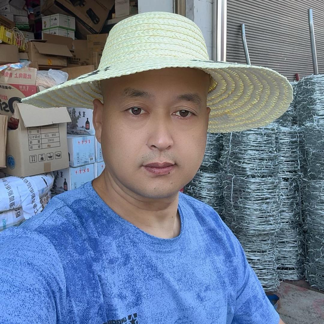 迷龙