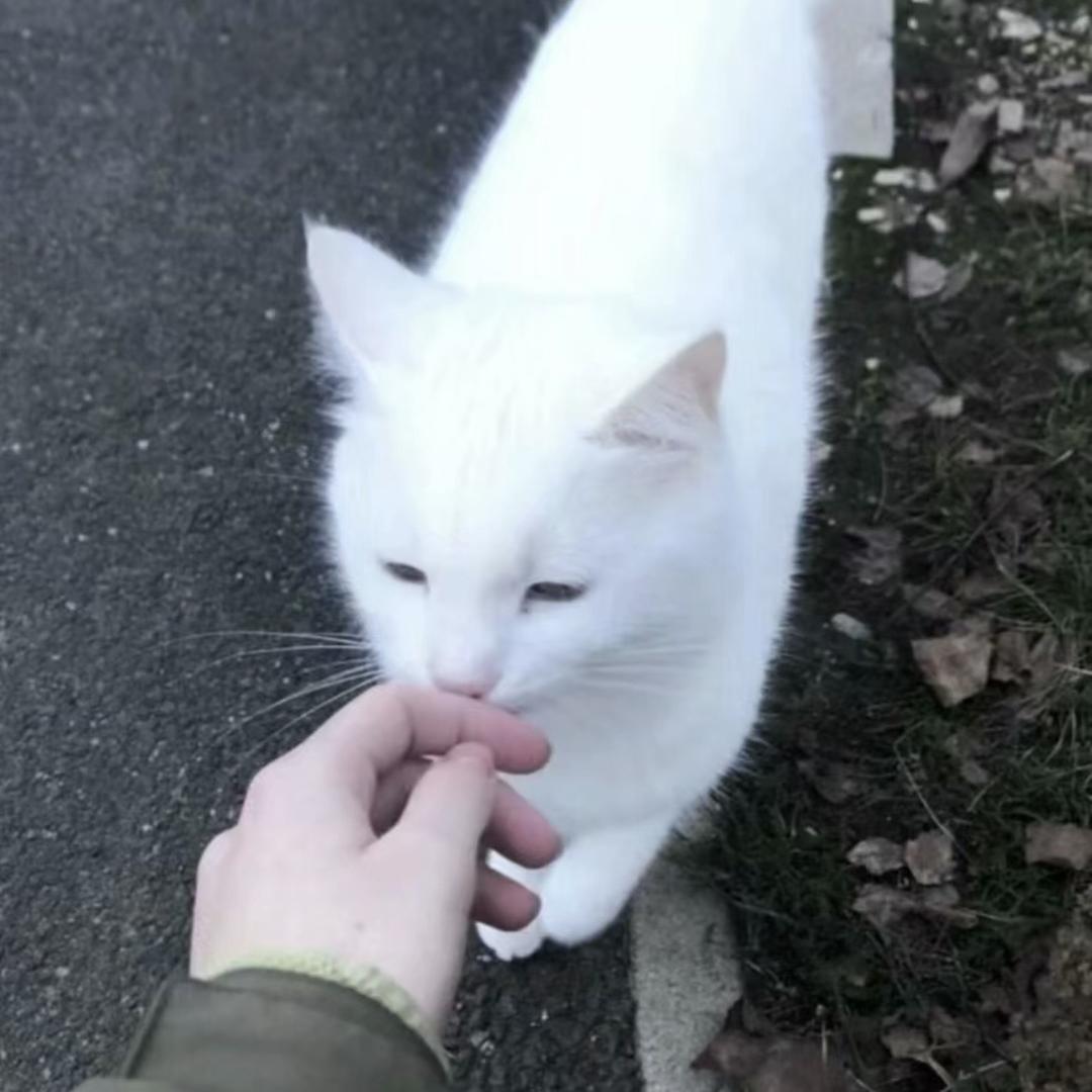 Yy.🐟