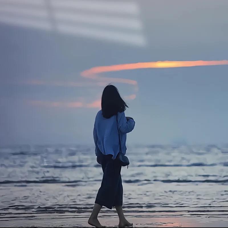 浅浅树
