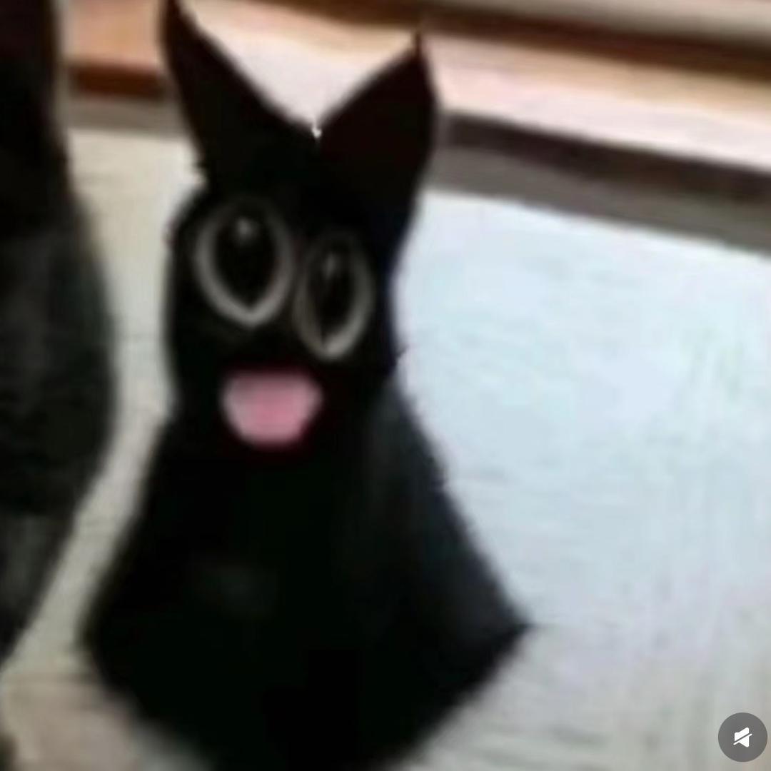 军阀的抖音