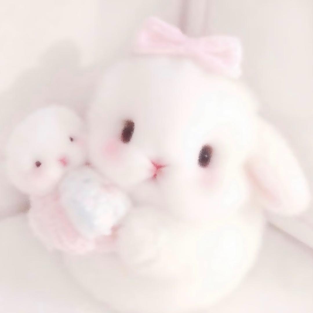 兔兔大人