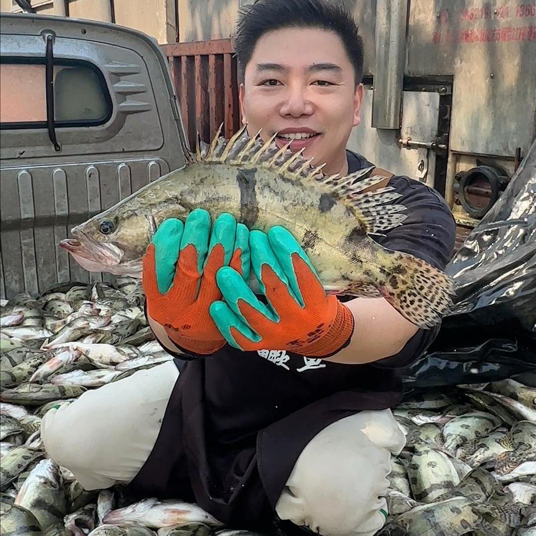 宏村黄山臭鳜鱼
