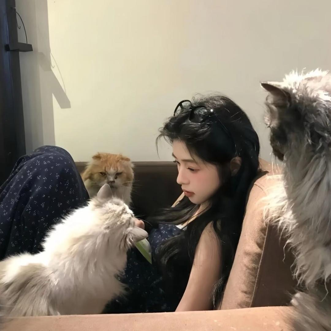 睡个好觉.💤