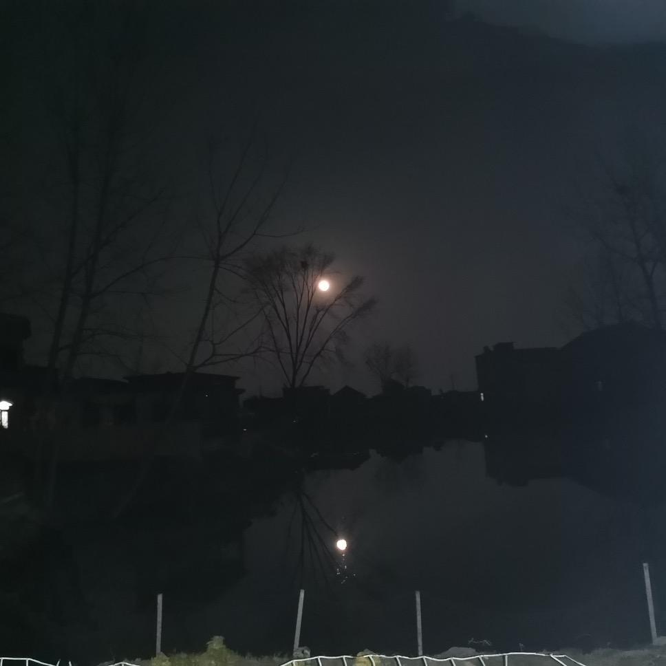 鹤师兄