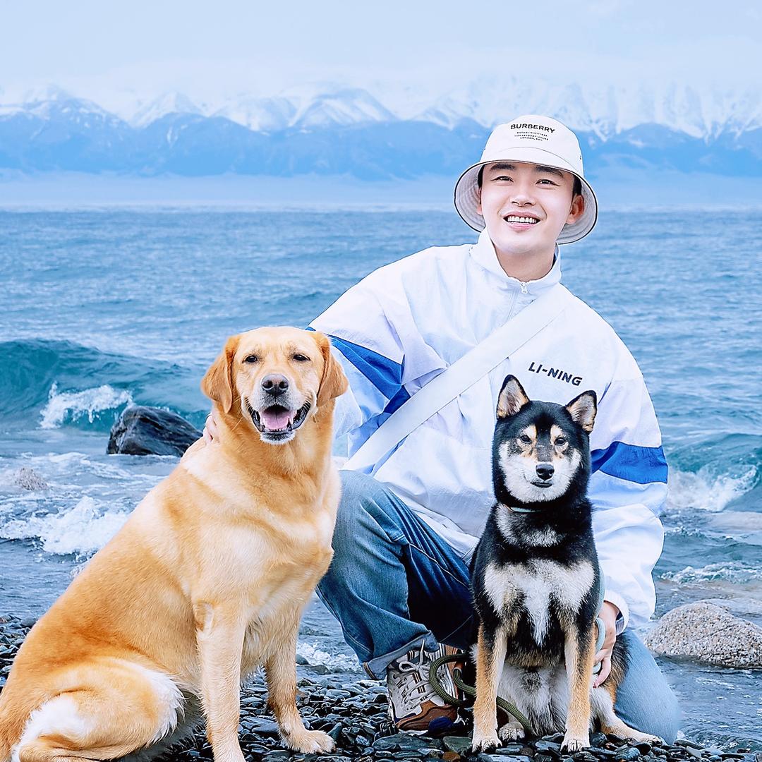 巴柴宠狗