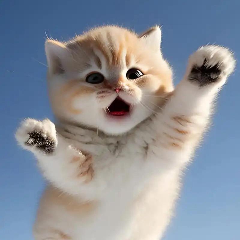 和太阳肩并肩看大海