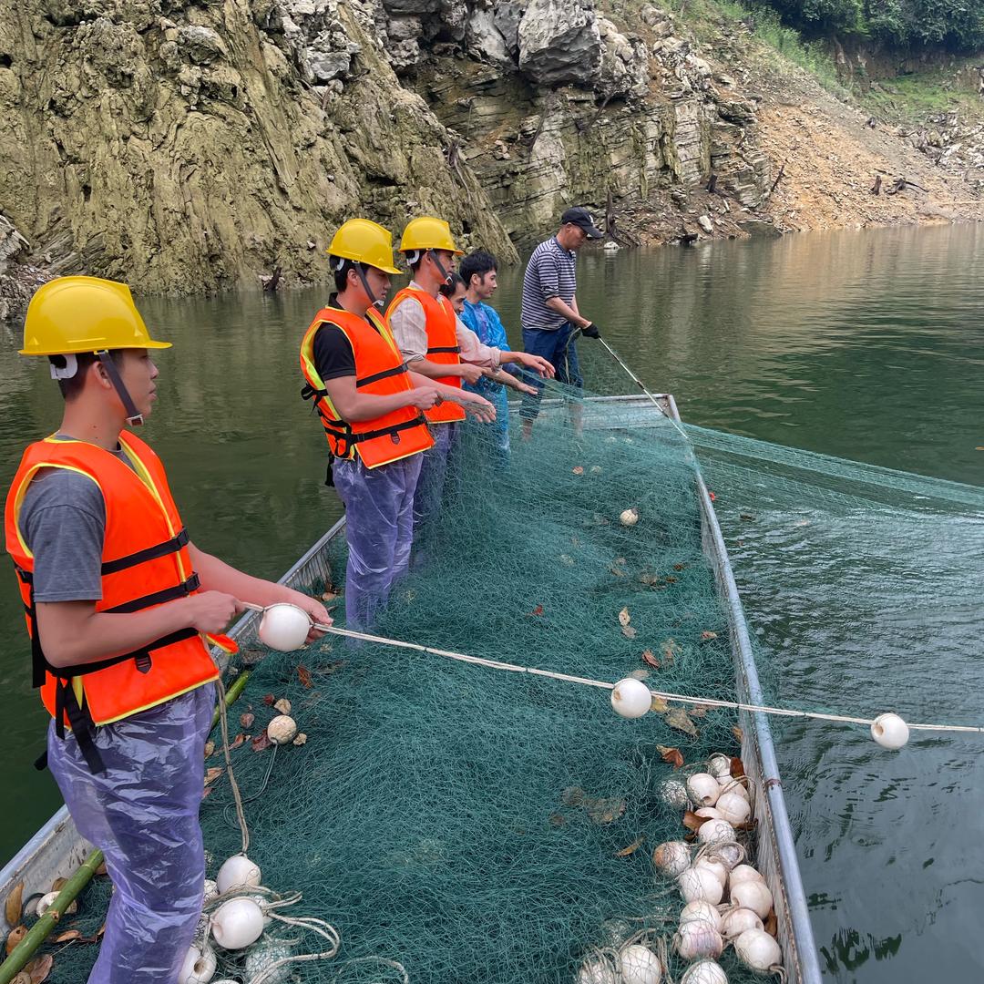 水库捕鱼队📲捕花白鲢专业队伍🐠单锦鹏