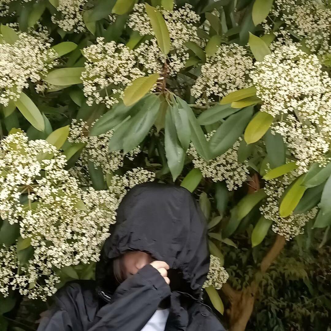 歪歪豆儿