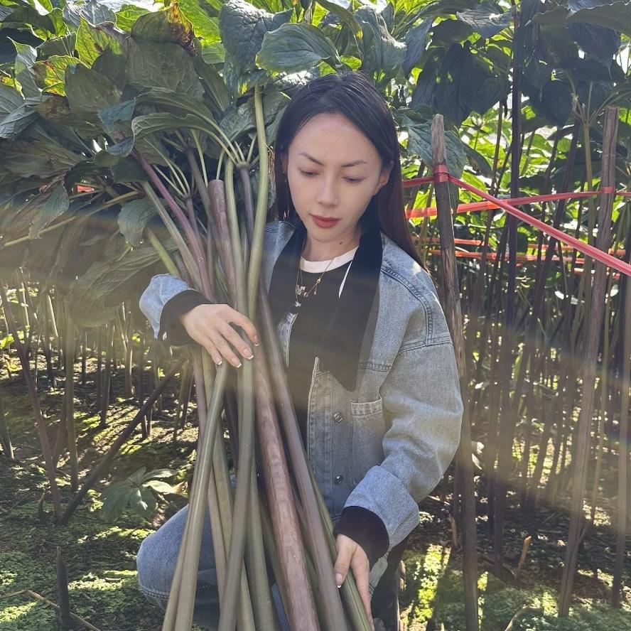 云南慧谷农业科技有限公司