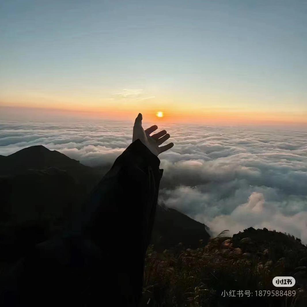 路恒胶业