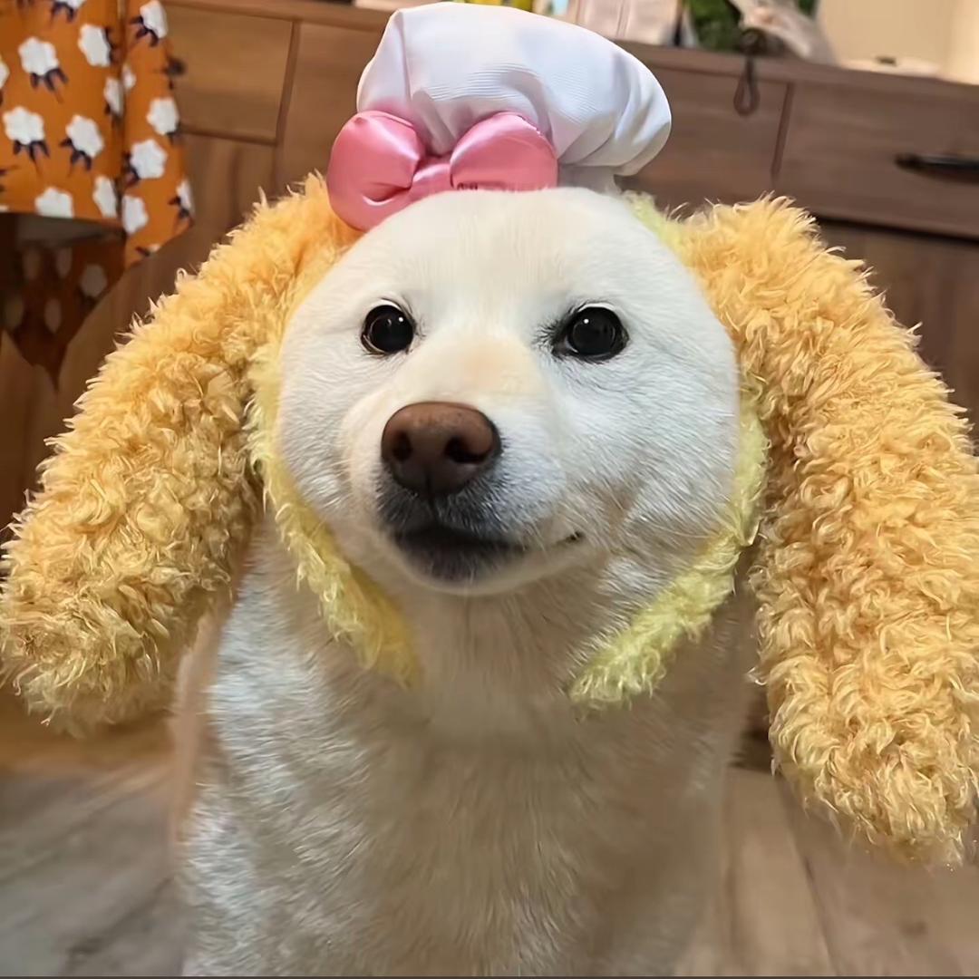 慵懒小阿姨