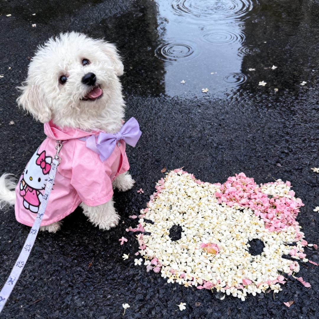 燃燃🌷