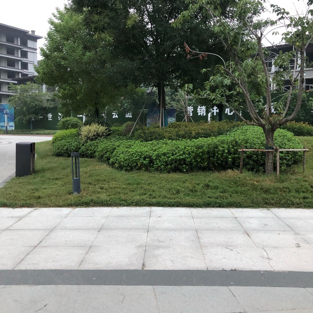 小魔道😋