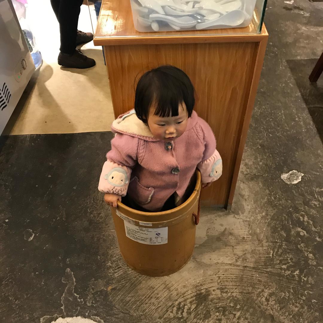 小飞猪～