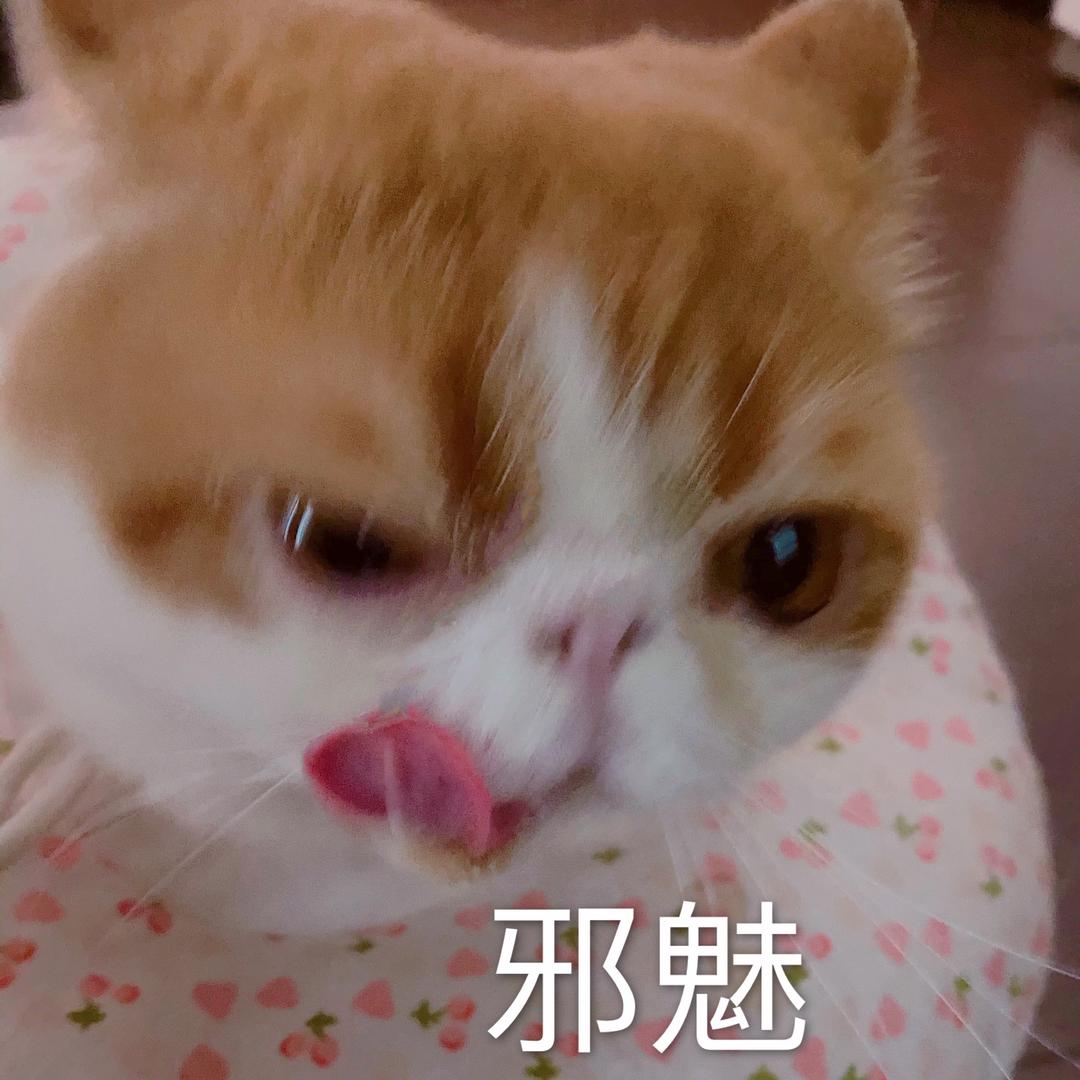曲奇大阿酷